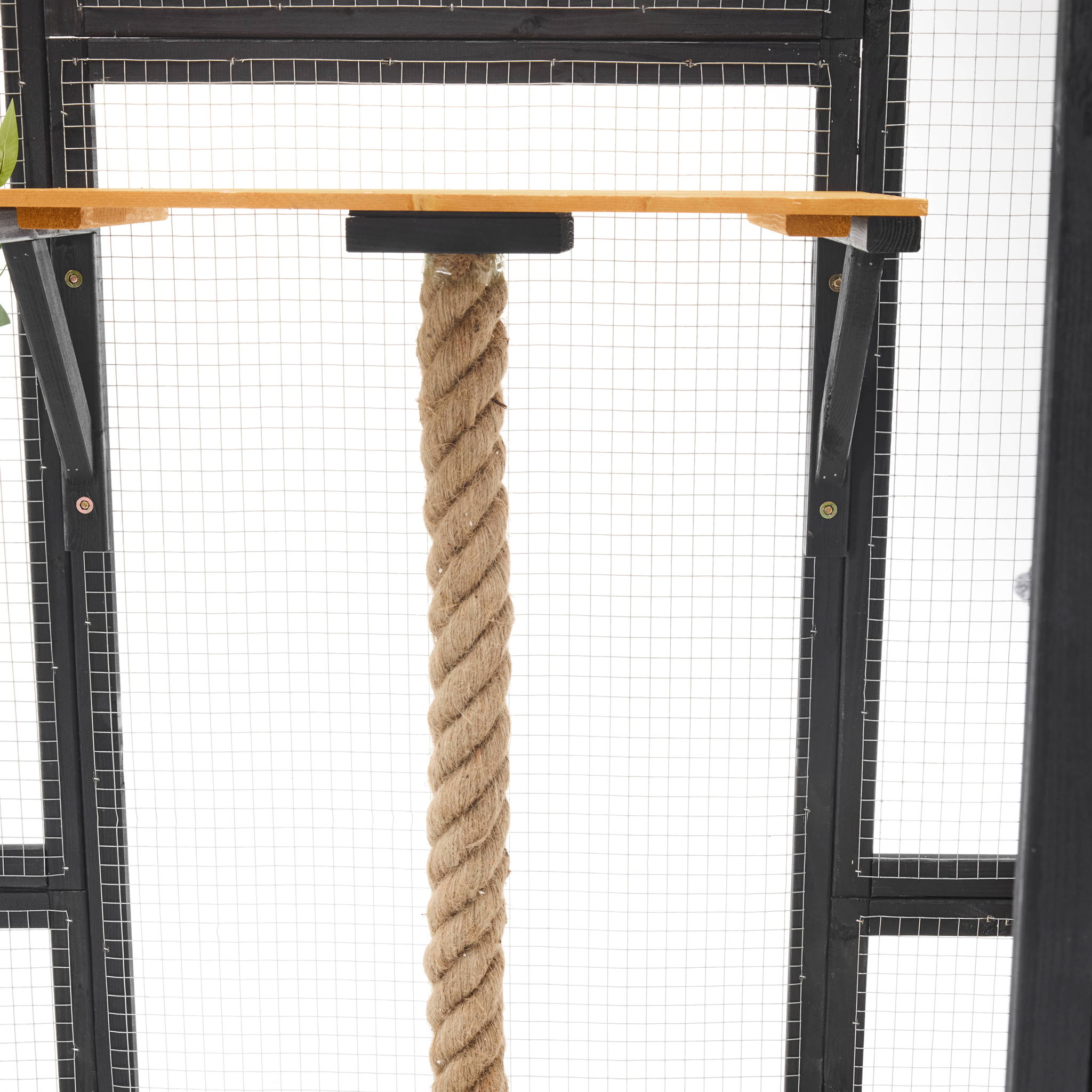 Outdoor Cat House, Diy Cat Enclosure Catio With Double Enter Doors
