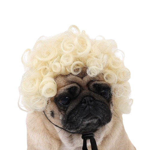 Party or Costume Wig - Dog -  (7 Style Options)  (While Supplies Last)