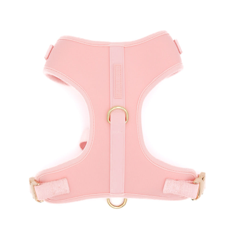 The Ultimate 3-Pc Walk Set - (Rose) - (XS-L) - Dog