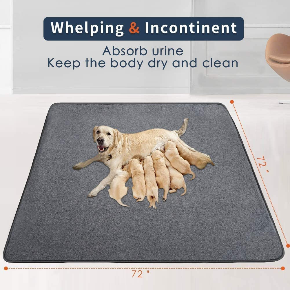 Non-Slip 4-Layer Pee Pad - Dog - (Potty Training) - (Comfortable) - (72x72 in) - (Washable) - (Grey) - (While Supplies Last)