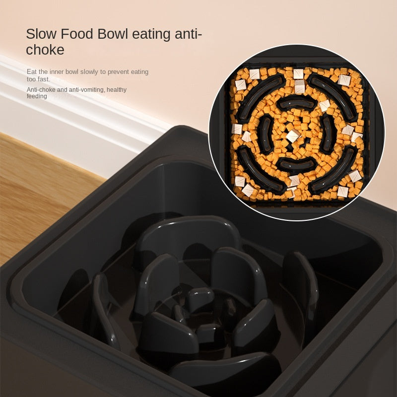 Adjustable Height Dual Feeding Bowl - Dog - (Stainless Steel, Black) - (1-3 pc Options)