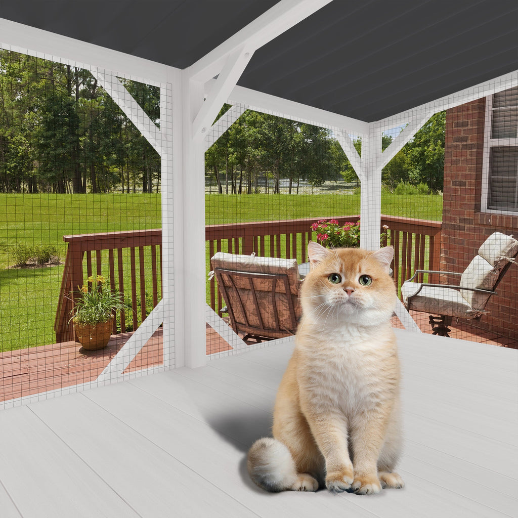 Cat Window Box for Large Indoor Cats