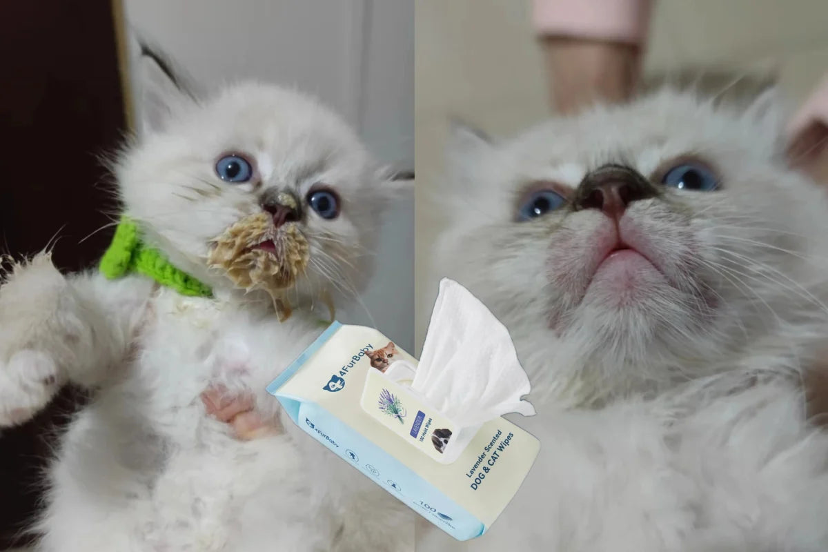 Grooming Wipes - Dog Cat - (Plant-Based) - (Hypoallergenic) - (5 Count Options) - (4FurBaby)