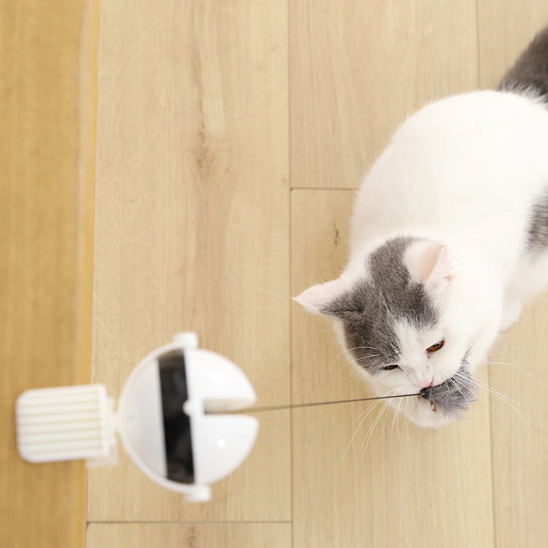 Interactive Automatic Lifting Ball Toy - Cat - (White)