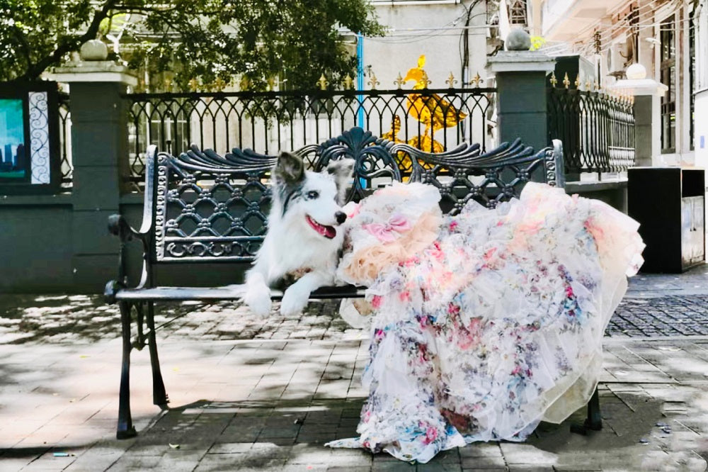 Garden Floral Couture Wedding Gown with Train - Princess Dog - (XS-XL) and Customizable  - (While Supplies Last)