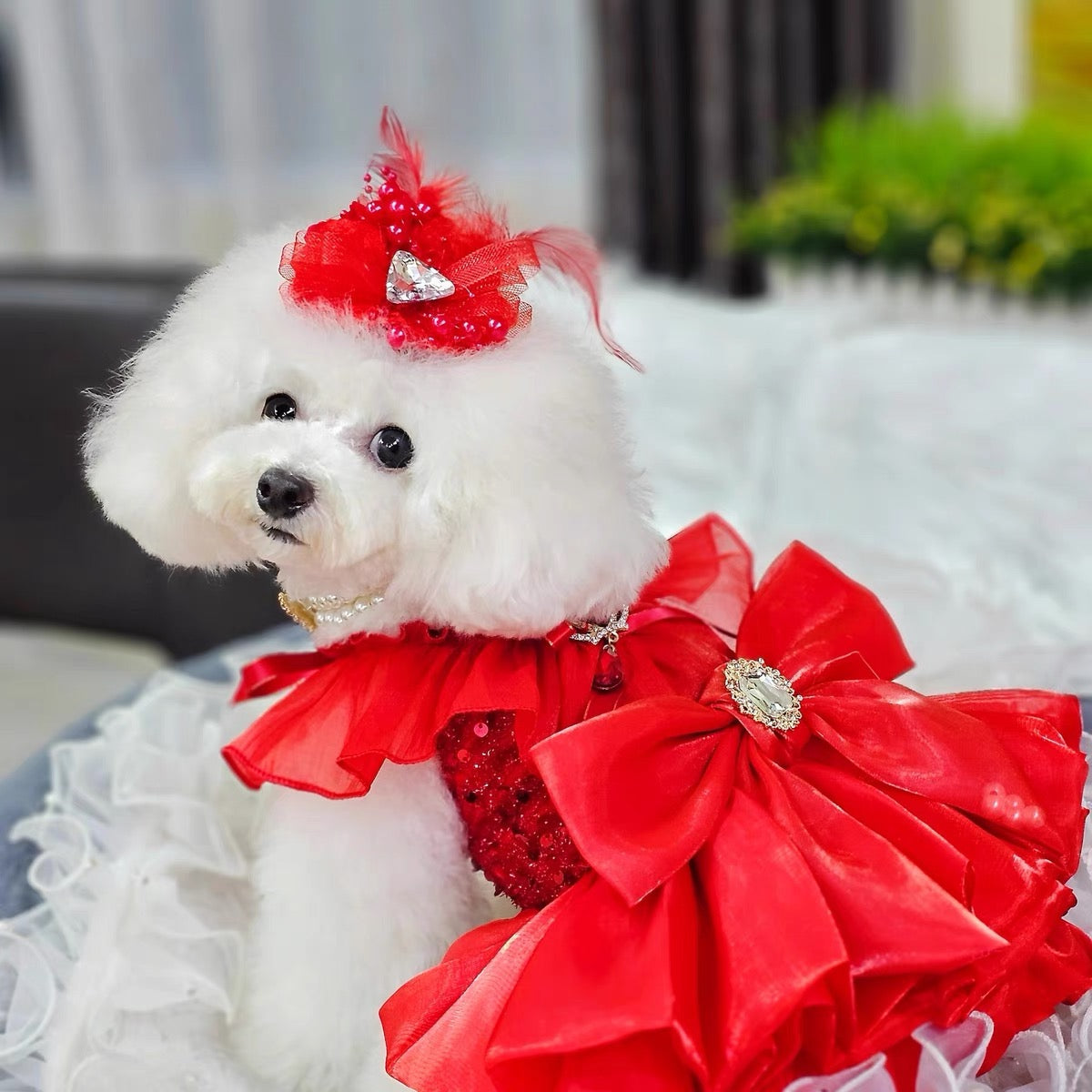 Princess Dress with Layered Tulle Skirt - Dog - (XS-XL) and Customizable  - (Red) - (While Supplies Last)