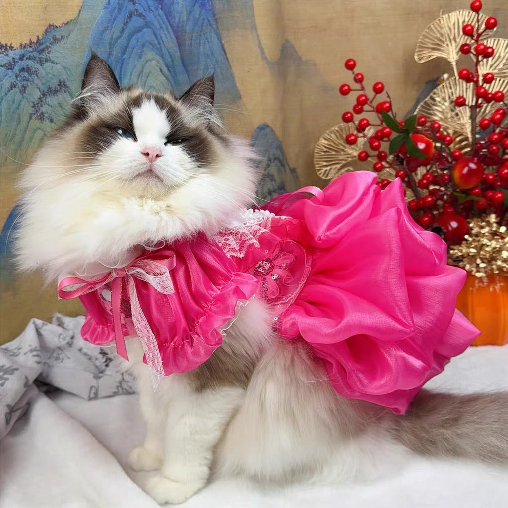 Elegant Lace Party Dress - Dog - (XS-XL) and Customizable - (Hot Pink) - (While Supplies Last)