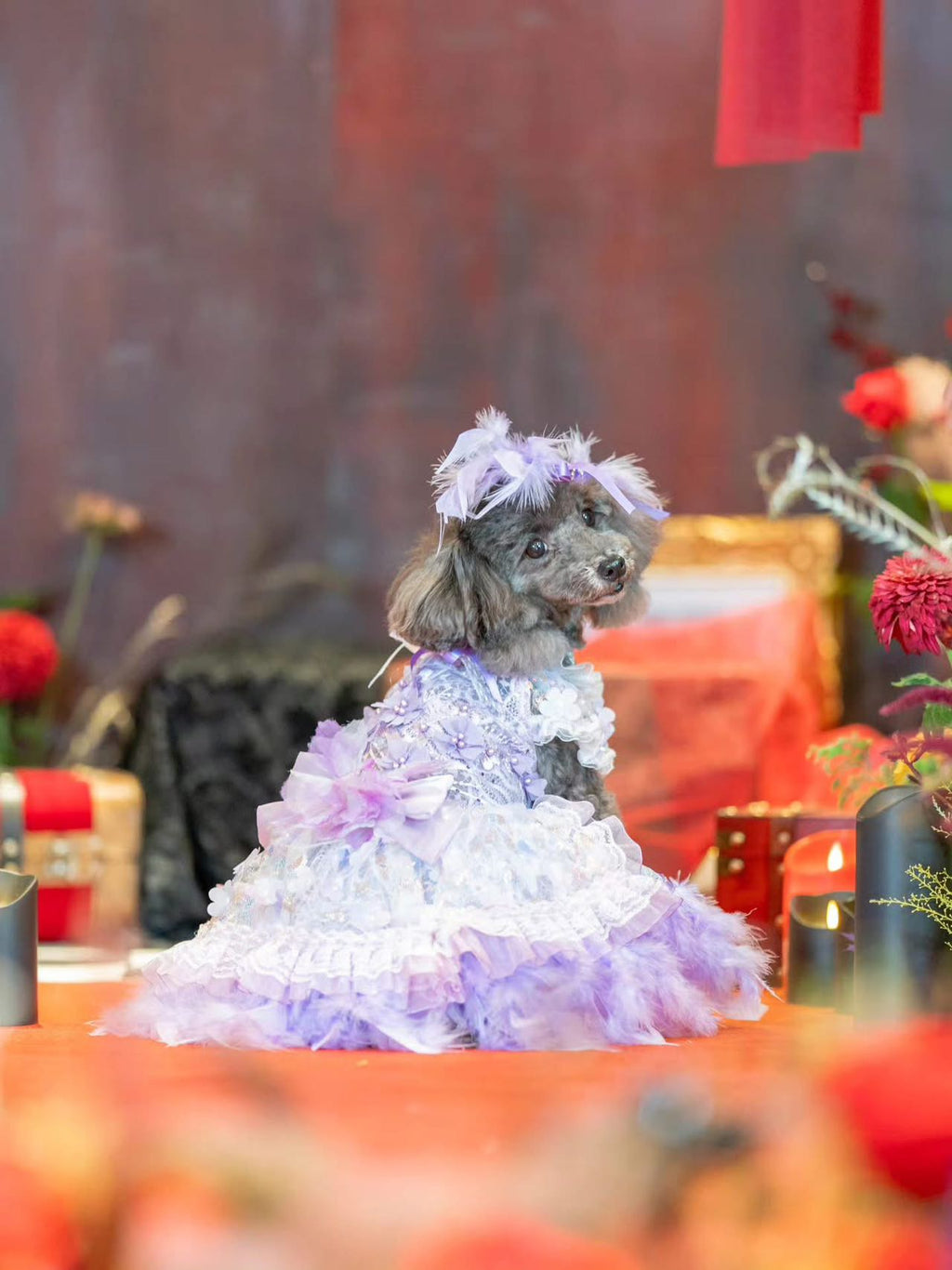 Feather Dream Princess Dress - Dog - (5 Color Options) (XS-XL) and Customizable - (While Supplies Last)