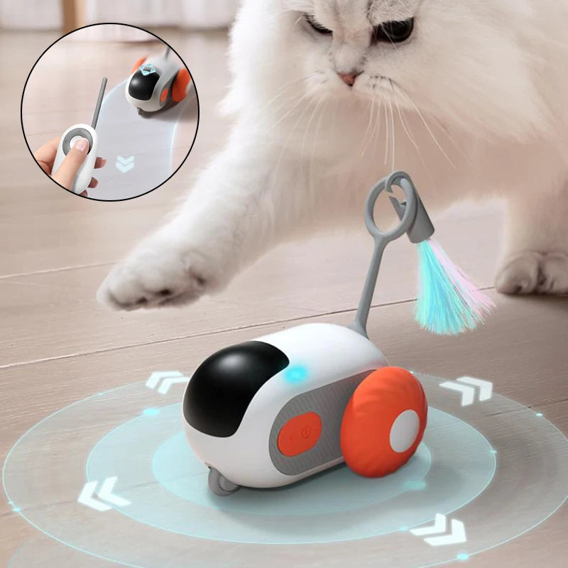 Interactive Car Toy - Cat - (Remote Control) - (Orange, Blue) - (7 Options) - (While Supplies Last)