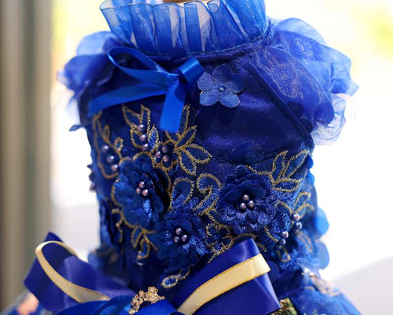 Elegant Floral Blossom Tulle Dress - Dog (Royal Blue) - (XS-XL) and Customizable - (While Supplies Last)