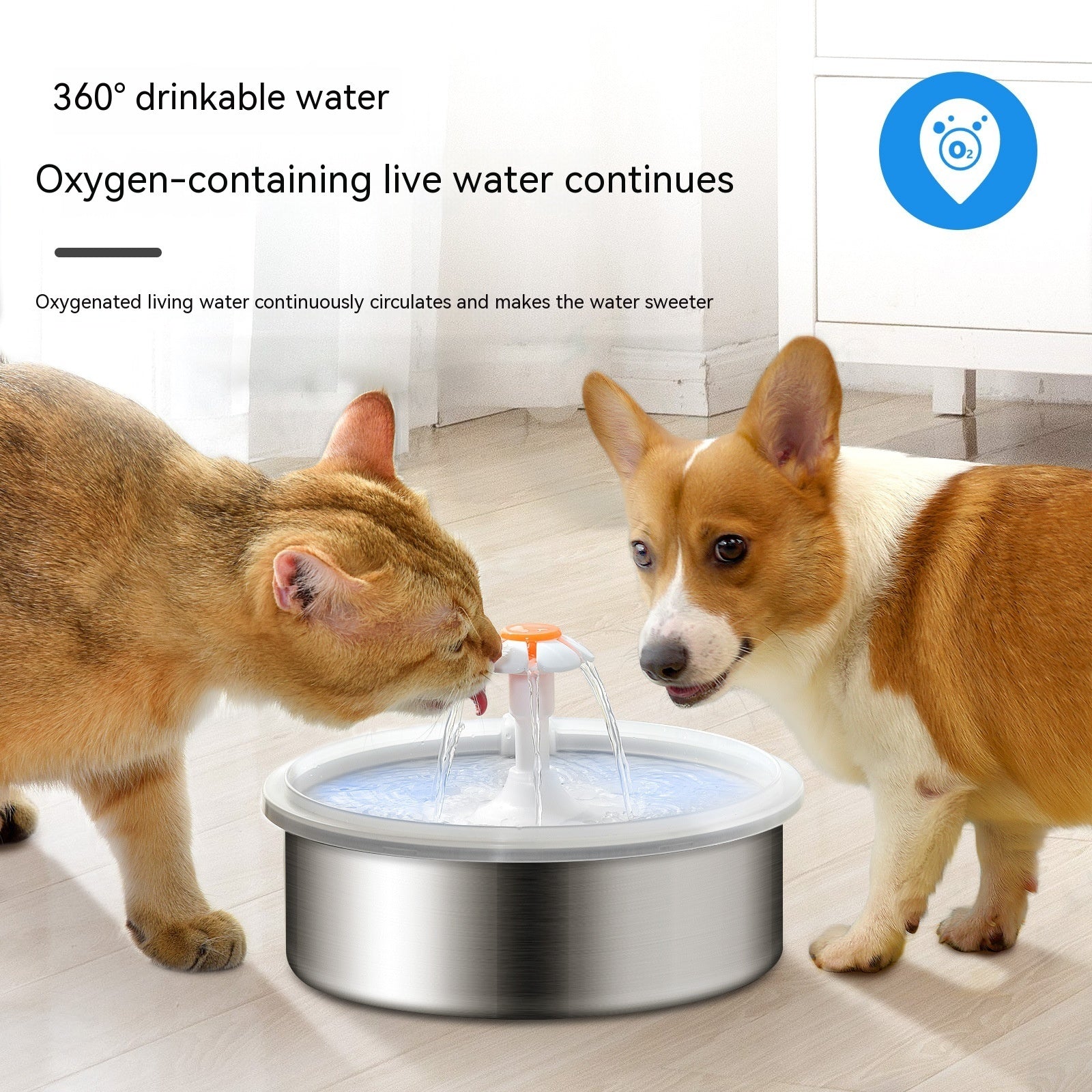 Electric Cycle Semi-Round Water Dispenser - Cat - (2.2 L) - (Stainless Steel) - (While Supplies Last)