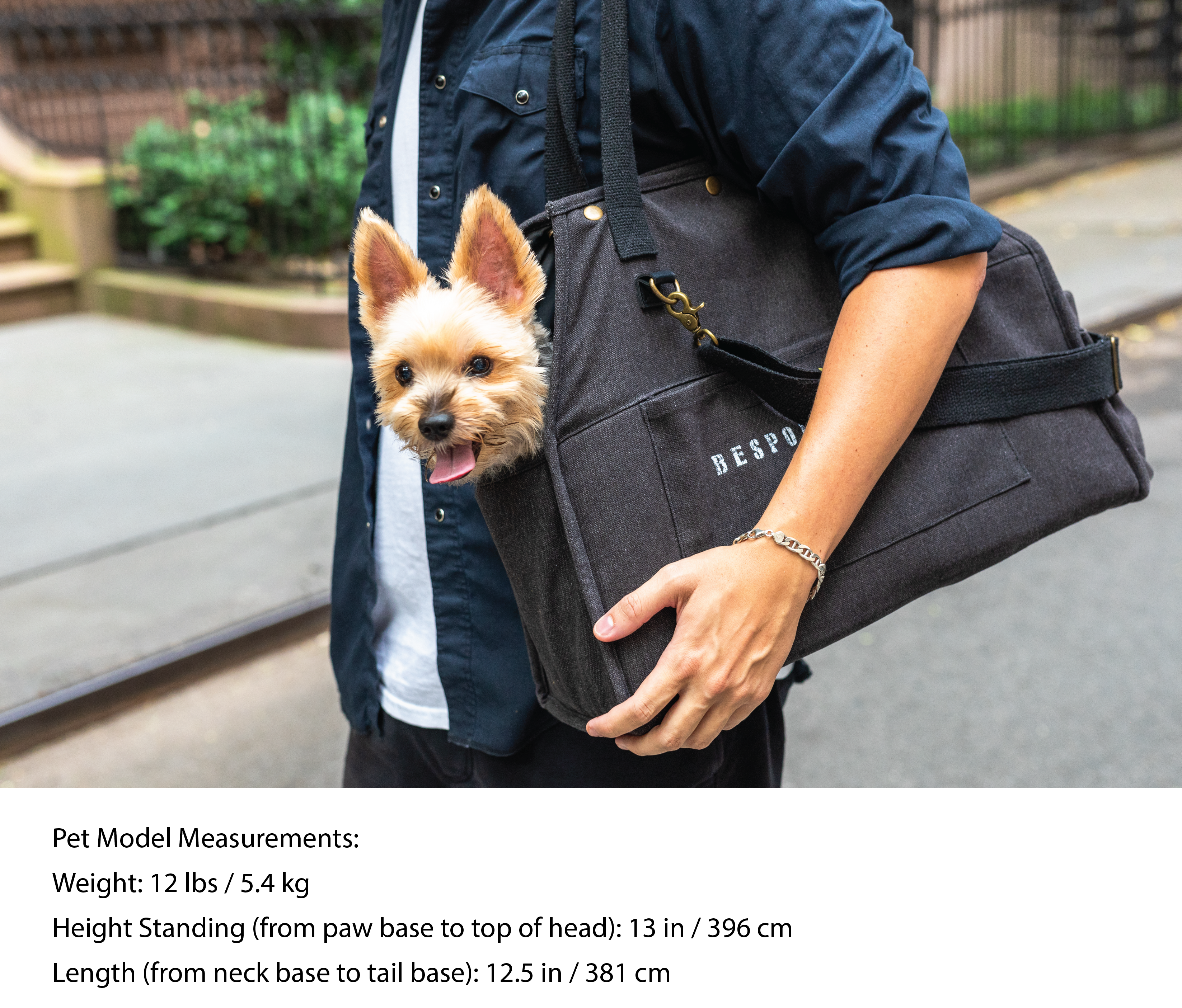 The Daily Pet Carrier Bag— Dog Cat - (Lightweight) - (Packable Luxury for Life on the Go) - (Black) - (S,M)