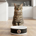 Ceramic Feeding Bowl with Cat Accepted Emblem - Cat - (16oz) - (White) - (While Supplies Last)
