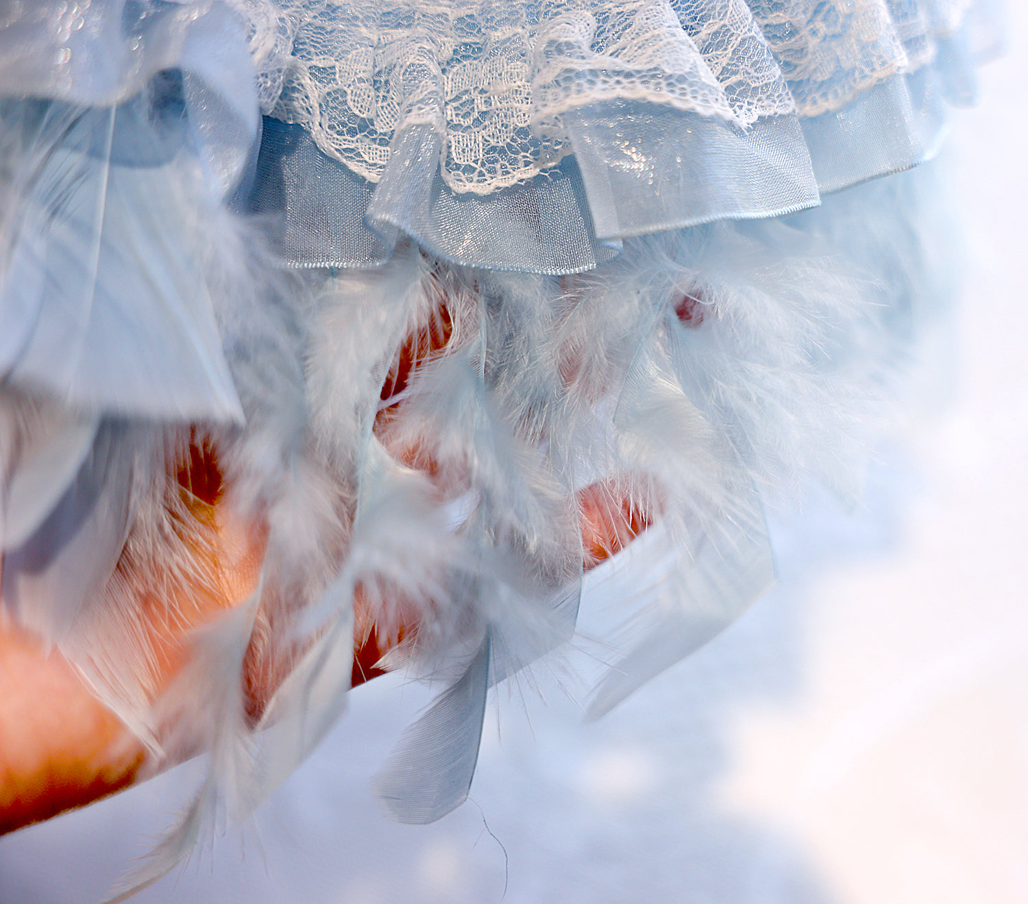 Feather Dream Princess Dress - Dog - (5 Color Options) (XS-XL) and Customizable - (While Supplies Last)