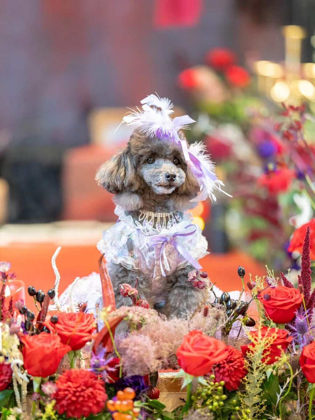 Feather Dream Princess Dress - Dog - (5 Color Options) (XS-XL) and Customizable - (While Supplies Last)