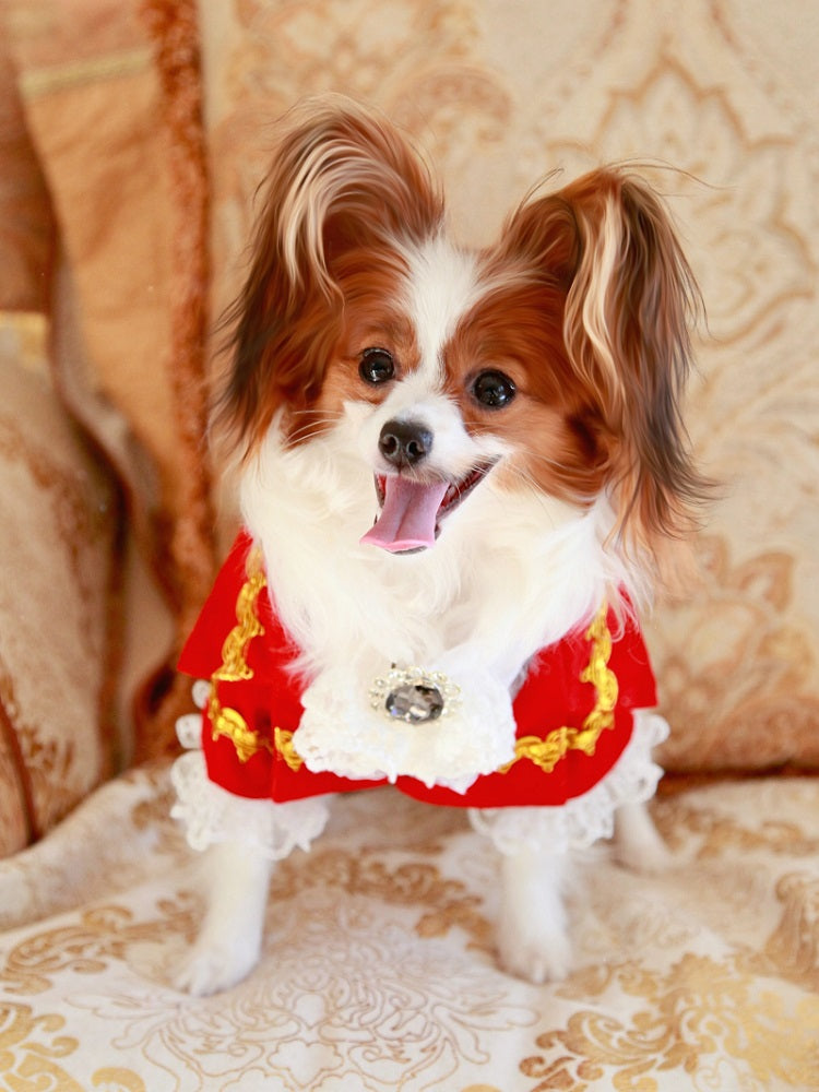 Luxury Tailcoat Shirt with Lace and Gold Detailing - Dog Cat - (XS-XXL) and Customizable - (Red) - (While Supplies Last)