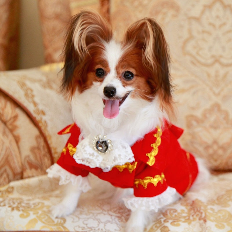 Luxury Tailcoat Shirt with Lace and Gold Detailing - Dog Cat - (XS-XXL) and Customizable - (Red) - (While Supplies Last)