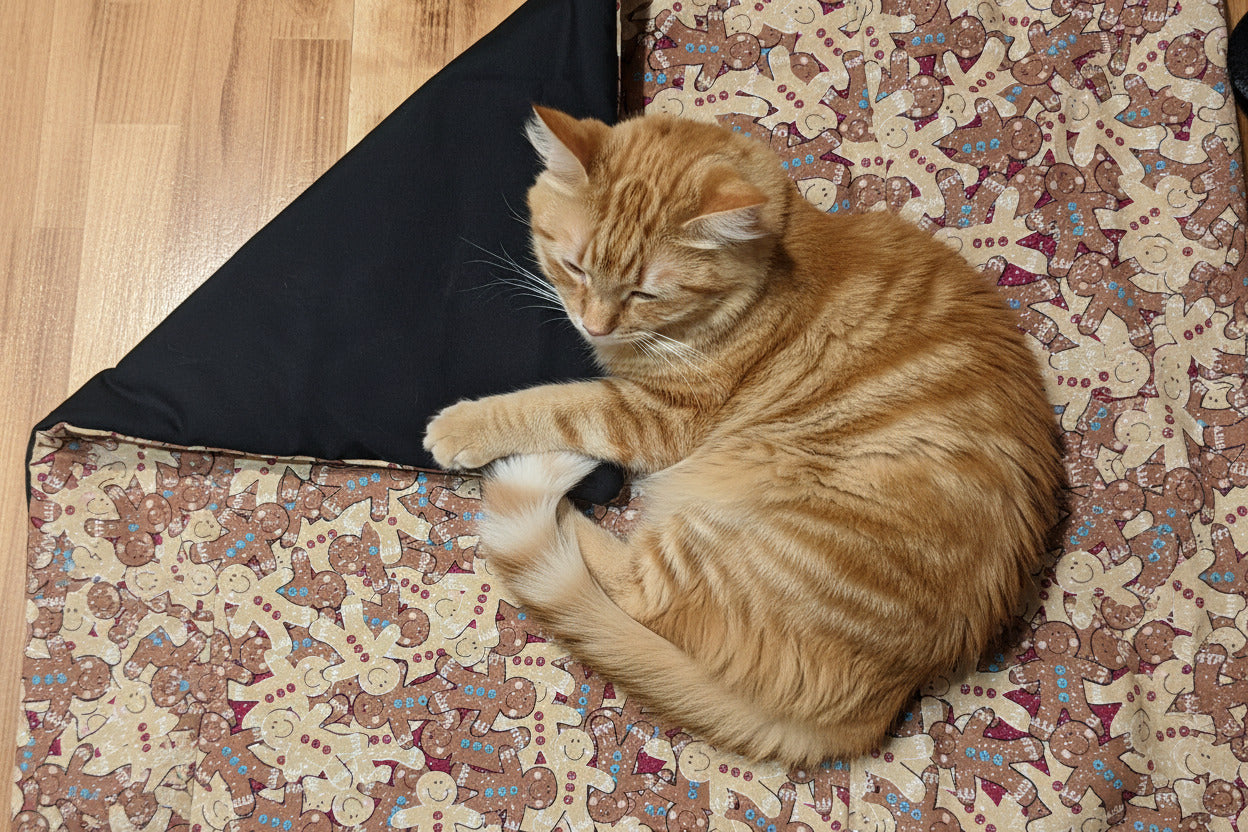 Cat Nip Infused Play Mat - Cat - (6 Style Options) - (While Supplies Last)