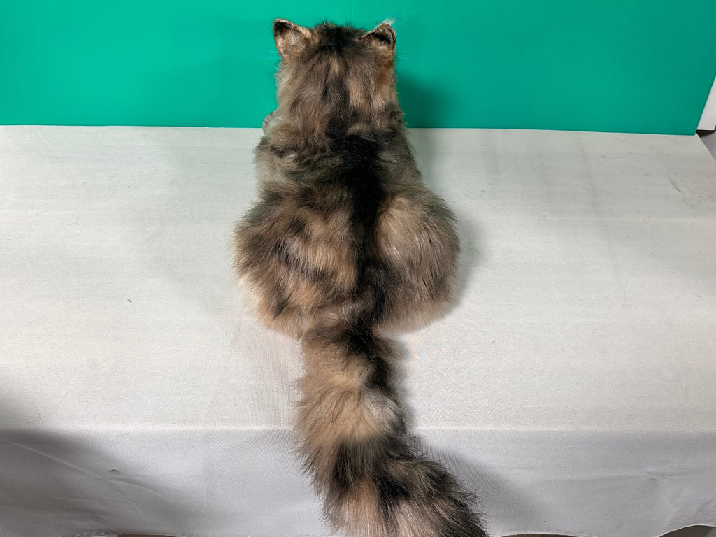 Realistic Plush Norwegian Forest Cat Companion - Child, Adult - (Weighted, Not Weighted)