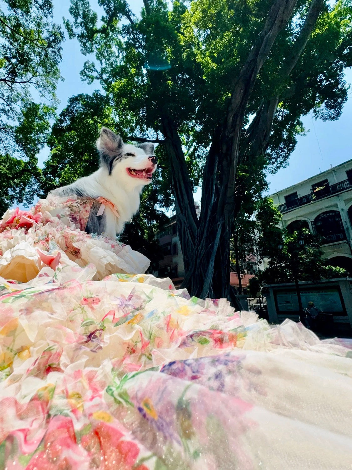 Garden Floral Couture Wedding Gown with Train - Princess Dog - (XS-XL) and Customizable  - (While Supplies Last)