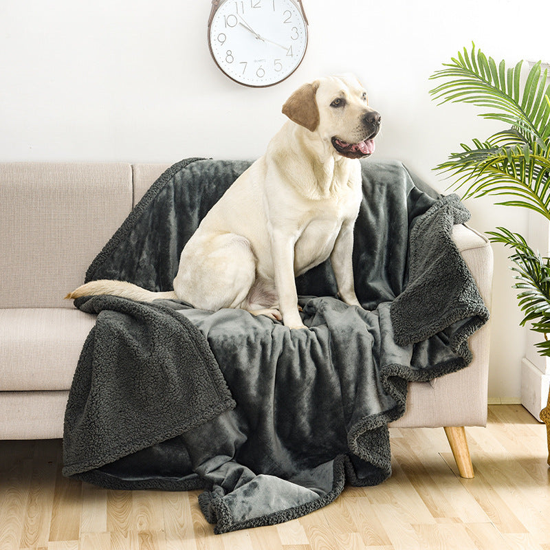 Pet Blanket - Dog - (4 Color Options) -  (Sherpa) - (XS-XXL)