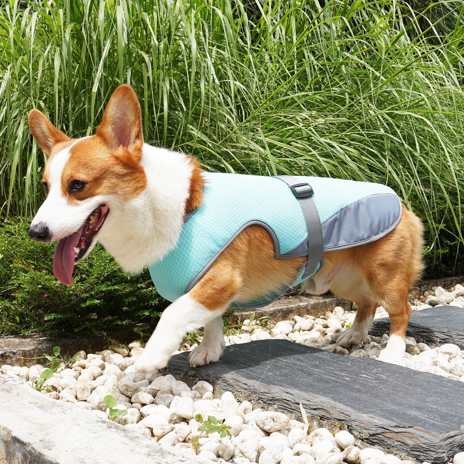 Cooling Summer Vest - Dog - (S-XL) - (Light Grey, Light Blue)