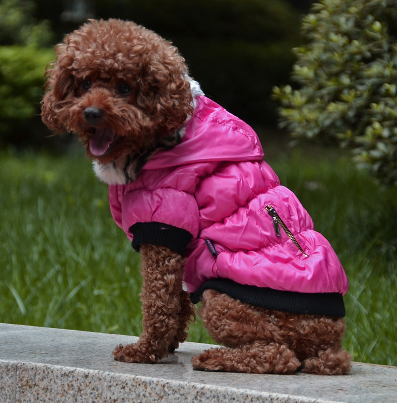 Padded Cotton Clothes with Zipper - Dog Cat - (XS-XXL) - (9 Color/Style Options)