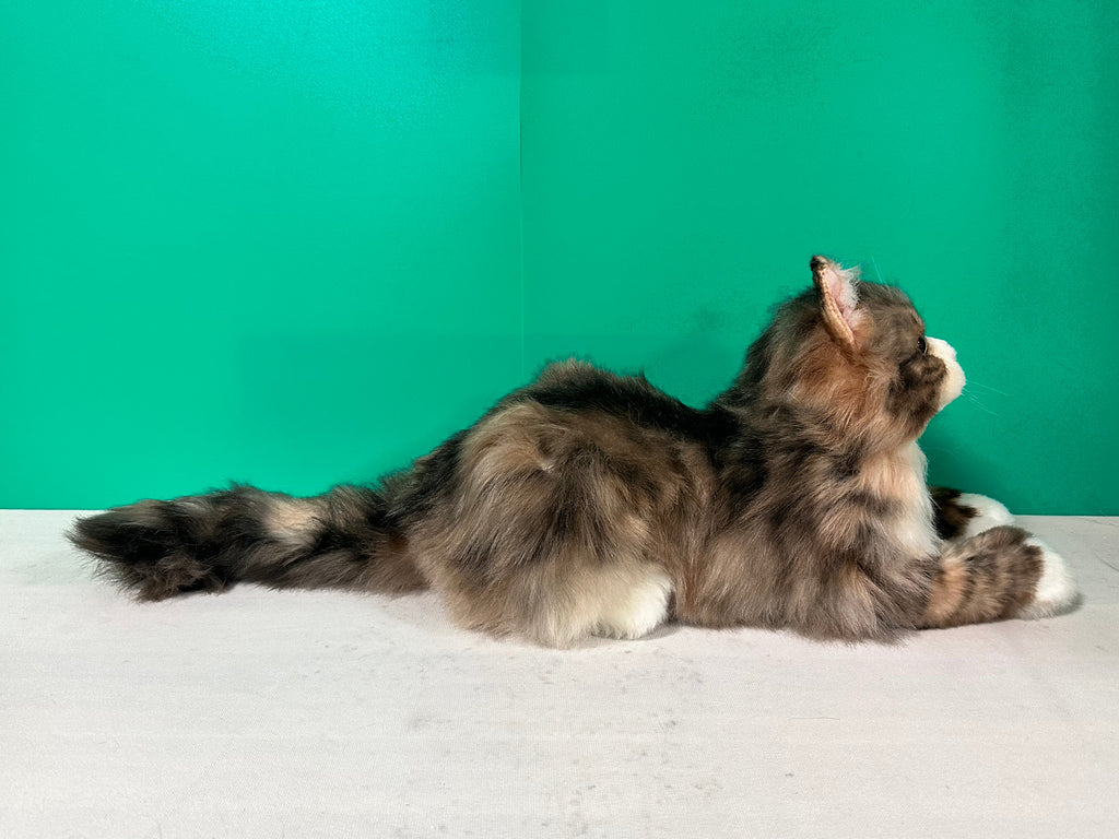 Realistic Plush Norwegian Forest Cat Companion - Child, Adult - (Weighted, Not Weighted)