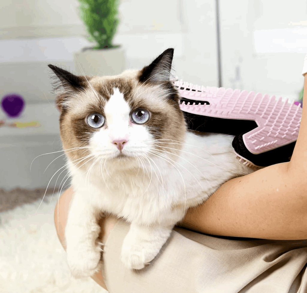 Grooming Massage Glove - Dog Cat  - (Double-Sided) - (One-Size) - (Pink, Blue) - (Rubber) - (While Supplies Last)