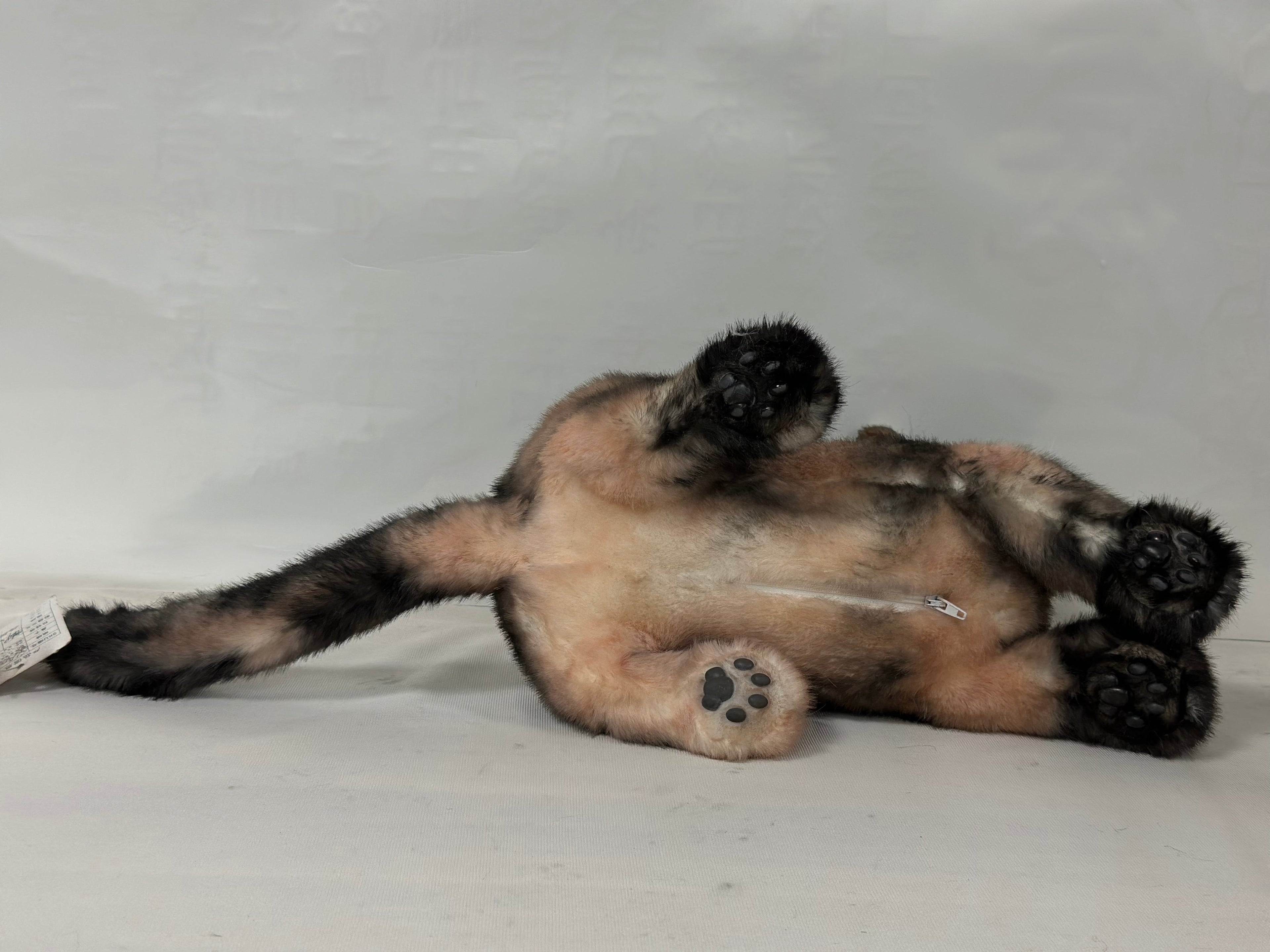 Realistic Shorthair Tortoiseshell Plush Cat Companion - Child, Adult - (Brown)