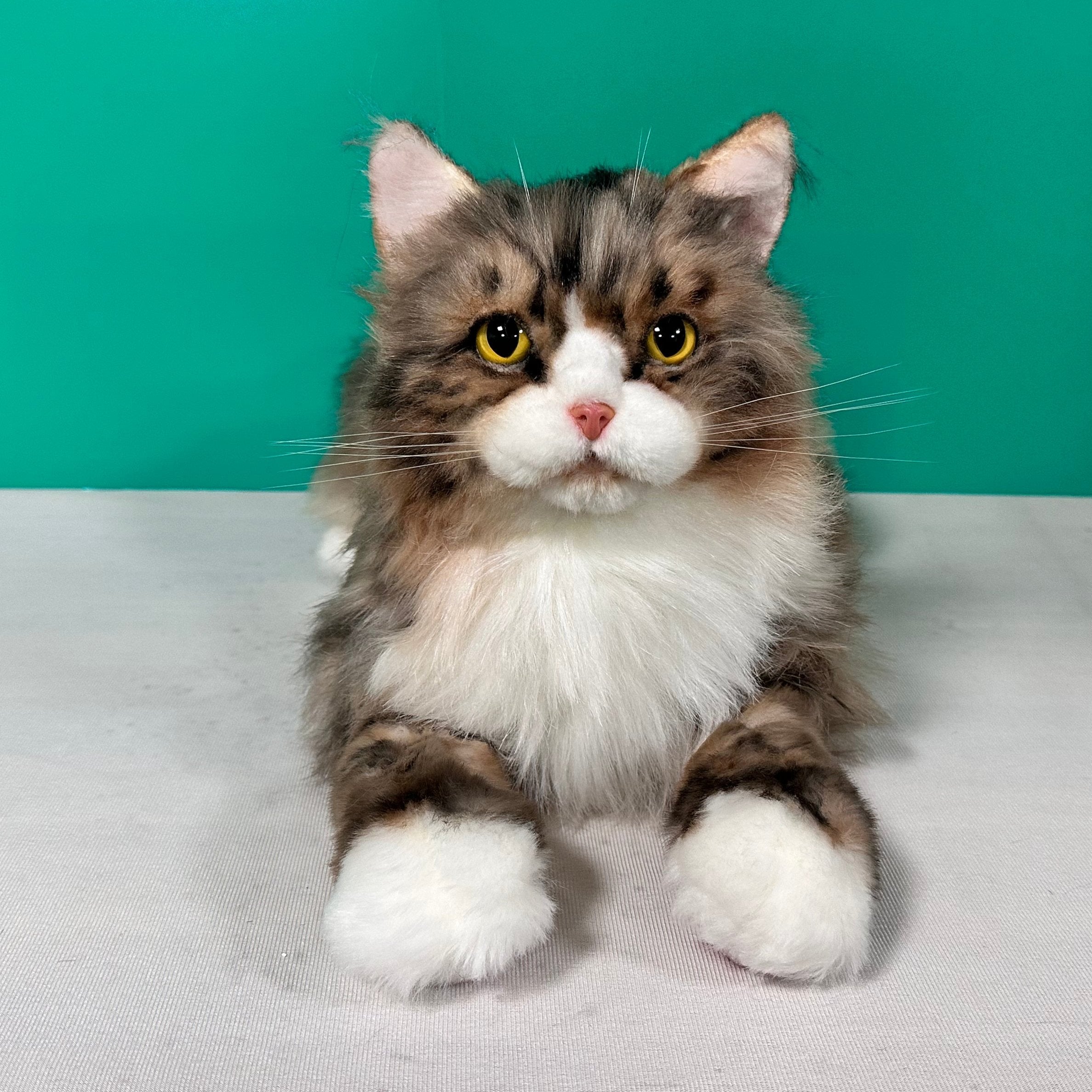 Realistic Plush Norwegian Forest Cat Companion - Child, Adult - (Weighted, Not Weighted)