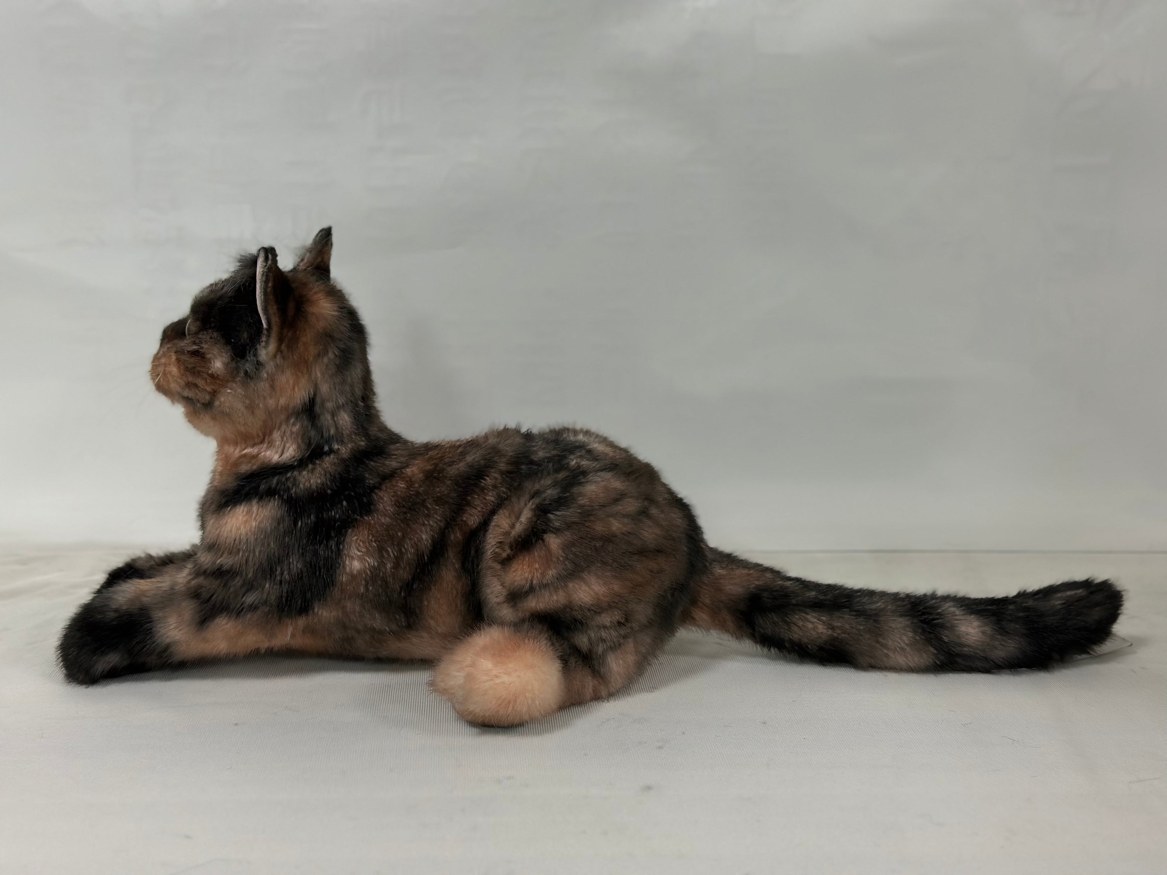Realistic Shorthair Tortoiseshell Plush Cat Companion - Child, Adult - (Brown)