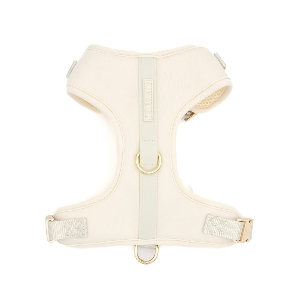 The Ultimate 3-Pc Walk Set - (Bone White) - (XS-L) - Dog