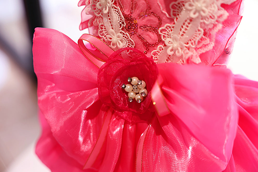 Elegant Lace Party Dress - Dog - (XS-XL) and Customizable - (Hot Pink) - (While Supplies Last)