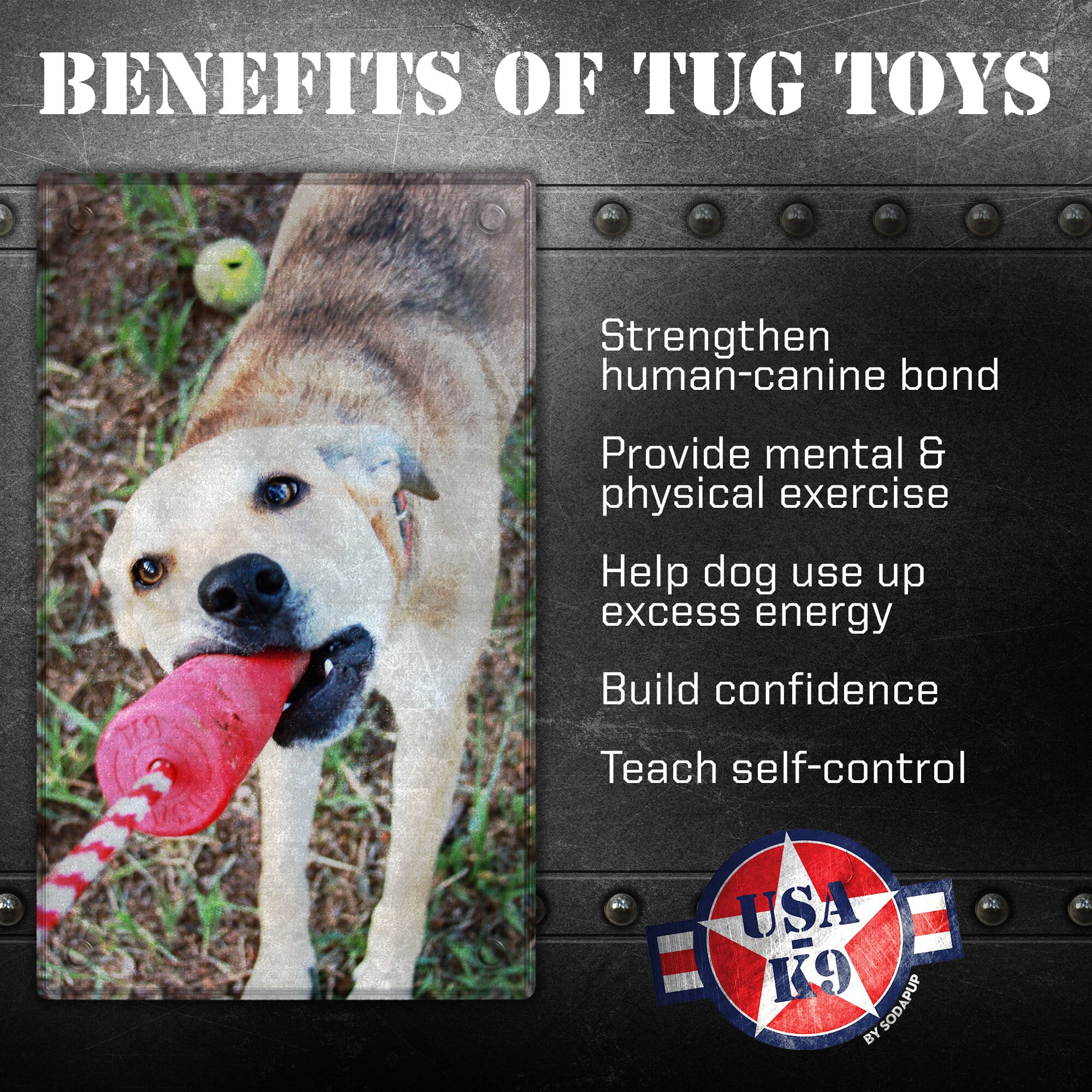 K9 Firecracker Floating Training Dummy Toy - Large Dog - (Reward Chew Toy) - (Rubber) - (Red) - (USA)