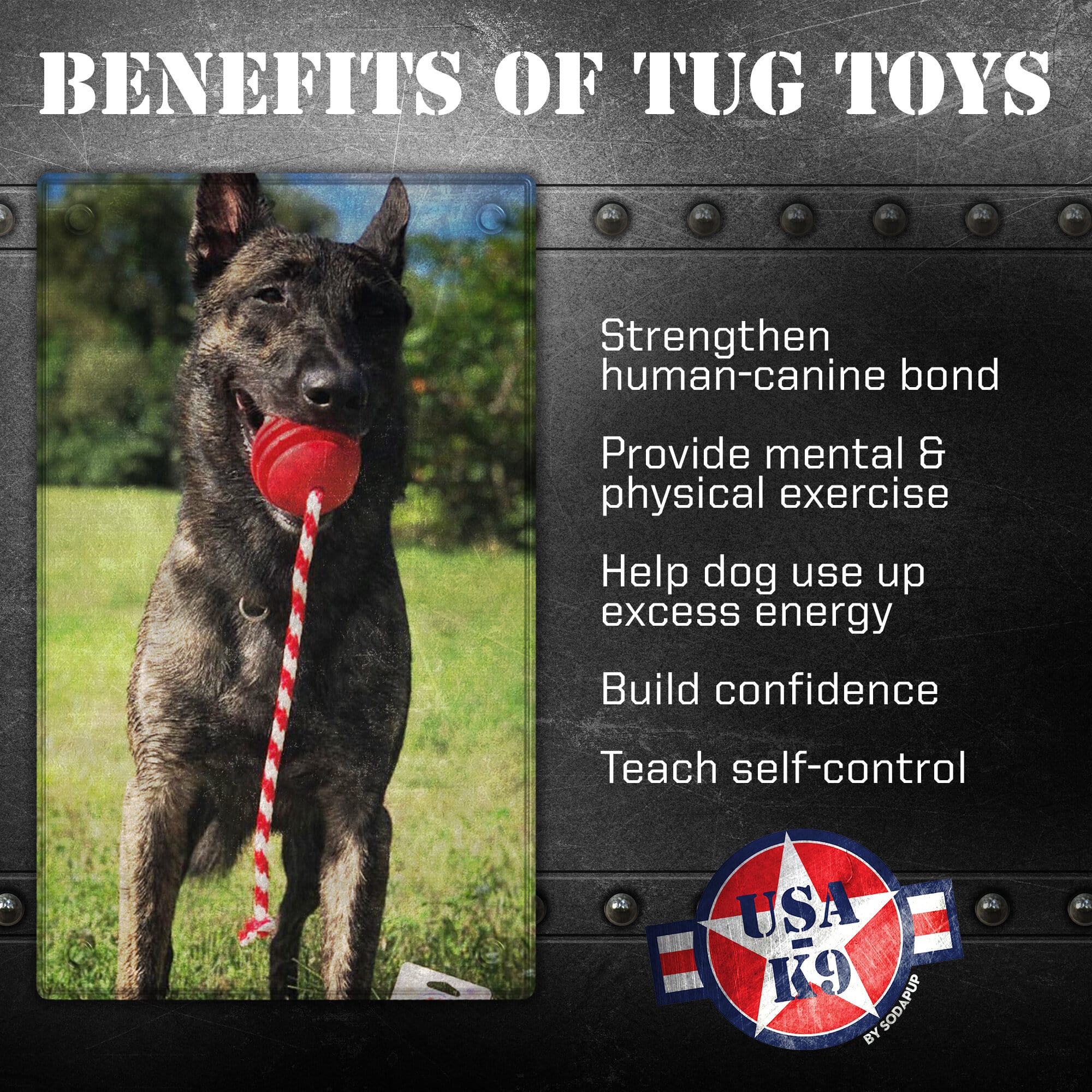 USA-K9 Stars and Stripes Rubber Toy - Dog  - (Red) -  (Rubber) - (Heavy Chewers) - (While Supplies Last)