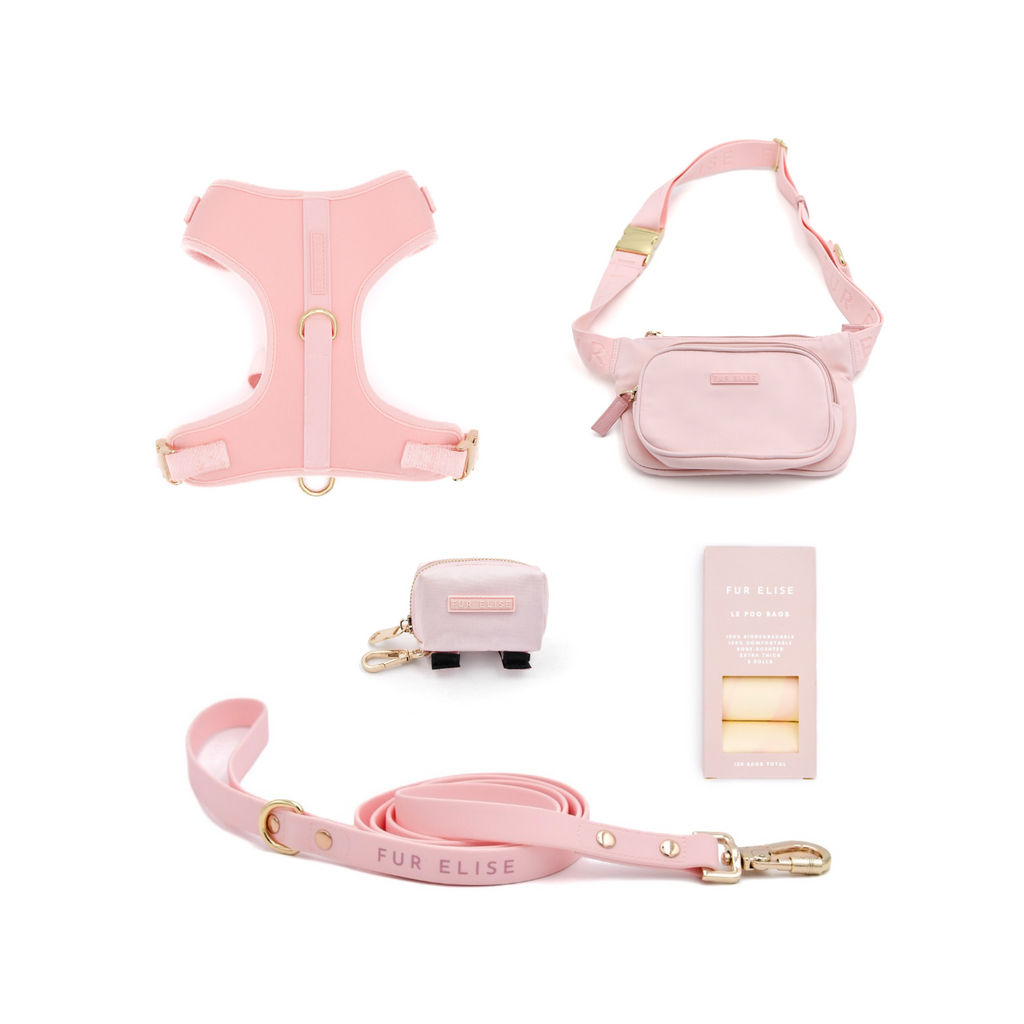 The Ultimate 3-Pc Walk Set - (Rose) - (XS-L) - Dog