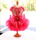 Elegant Lace Party Dress - Dog - (XS-XL) and Customizable - (Hot Pink) - (While Supplies Last)