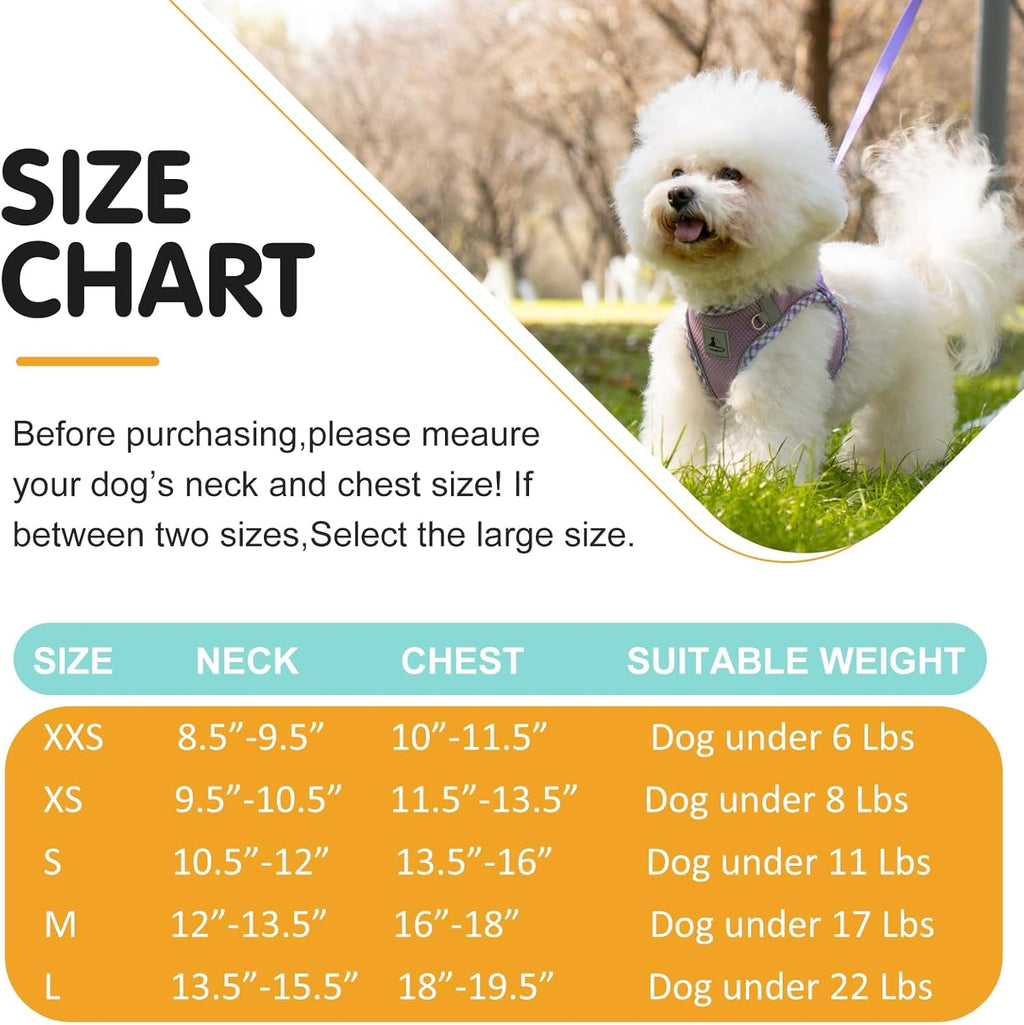 Reflective and Adjustable No Pull Harness Vest and Leash Set - Small Dog Cat (6 Color Option)