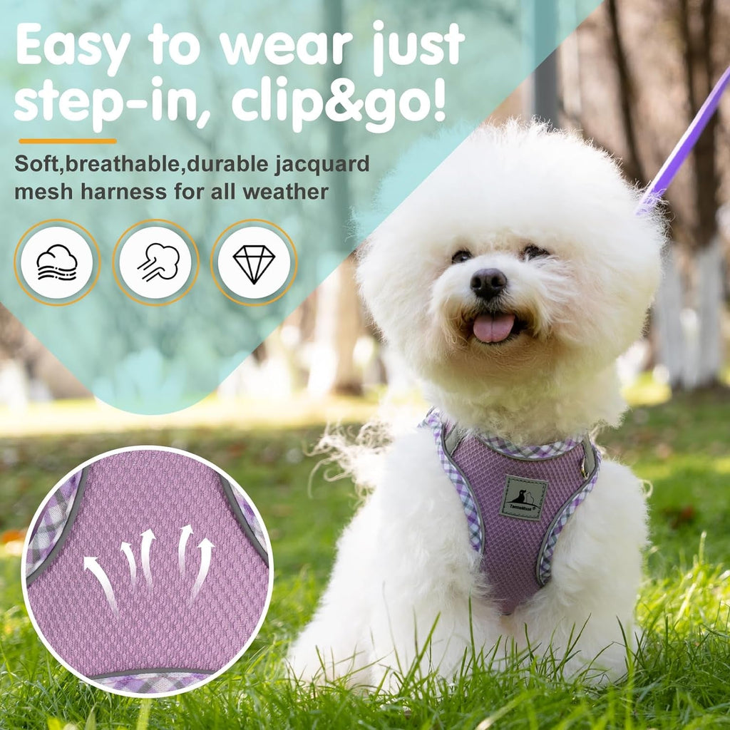Reflective and Adjustable No Pull Harness Vest and Leash Set - Small Dog Cat (6 Color Option)