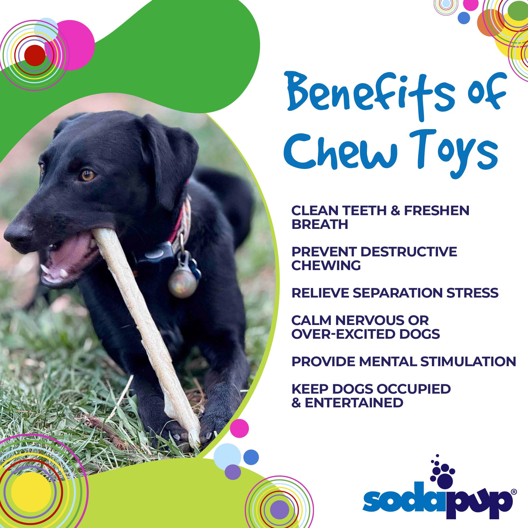 Nylon Chew Stick for Power Chewers - Dog - (Indestructible Dog Toy) - (SodaPup)