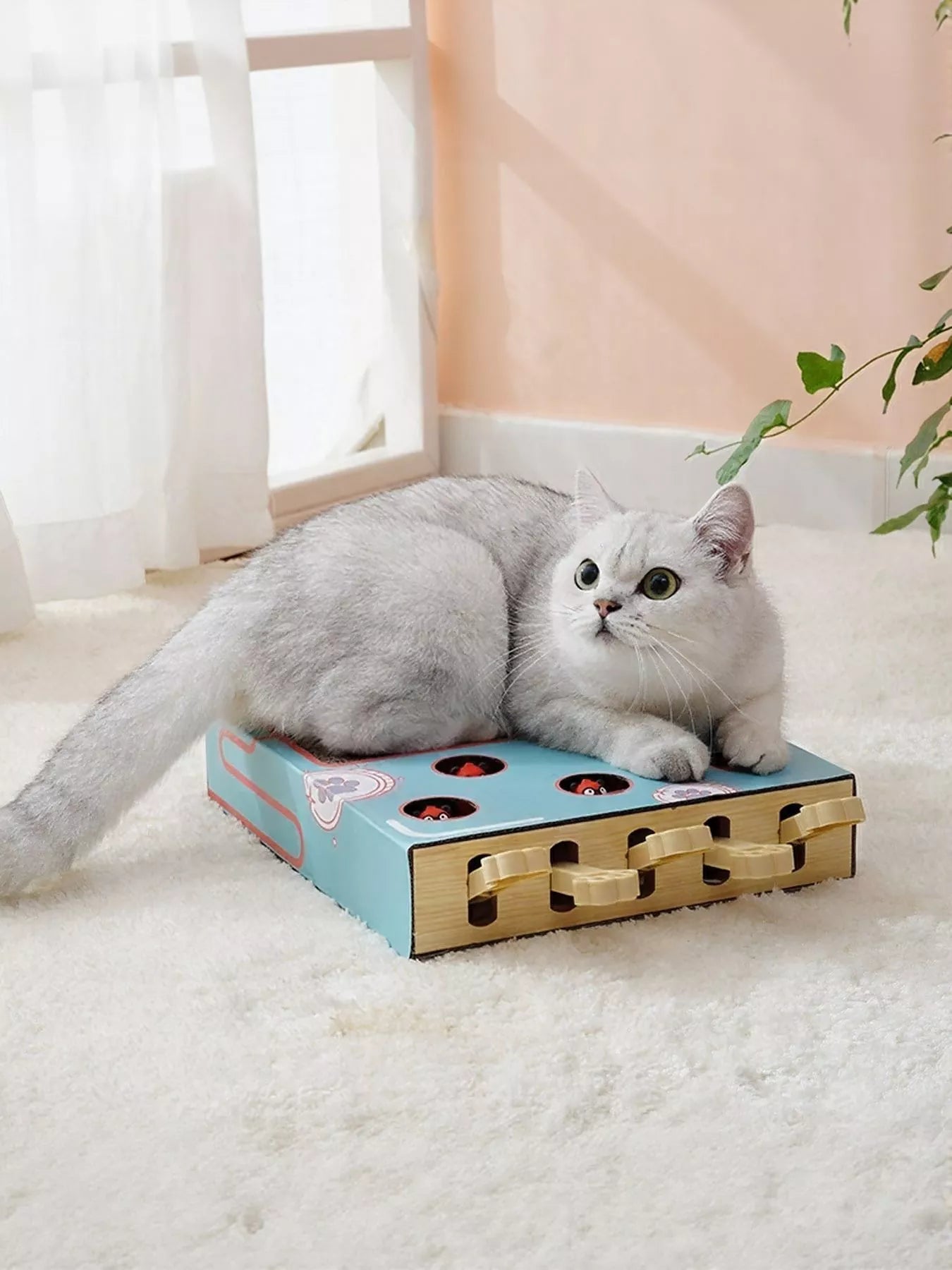 Interactive Whack-A-Mole Toy Box - Cat - (2 Options) - (One Size)