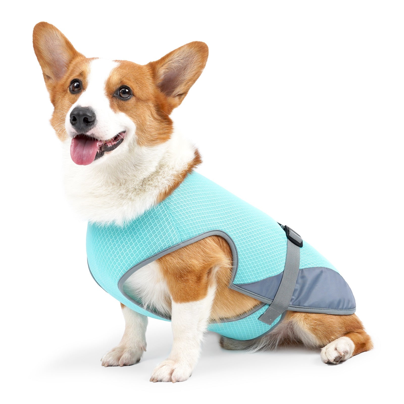 Cooling Summer Vest - Dog - (S-XL) - (Light Grey, Light Blue)