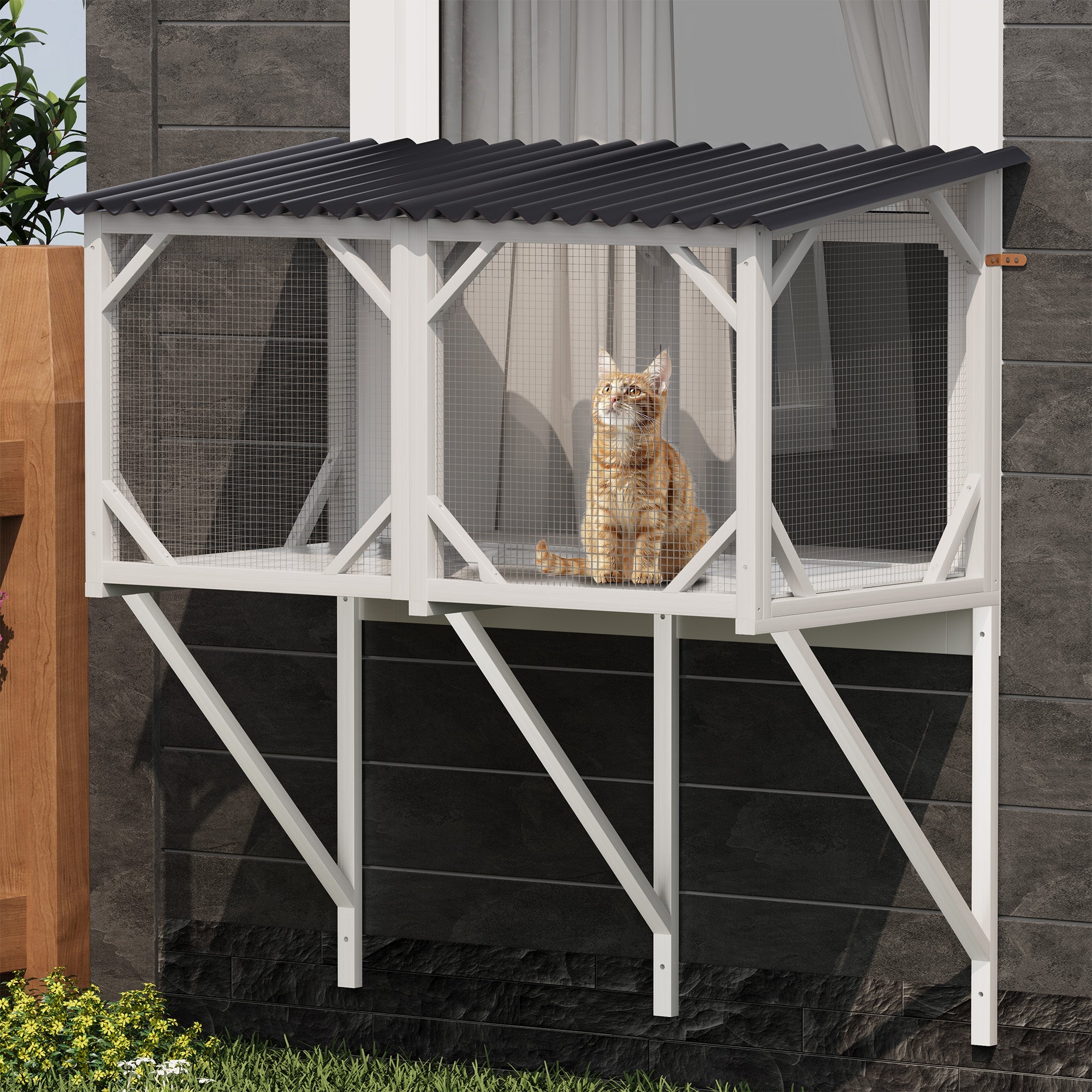 Cat Window Box for Large Indoor Cats