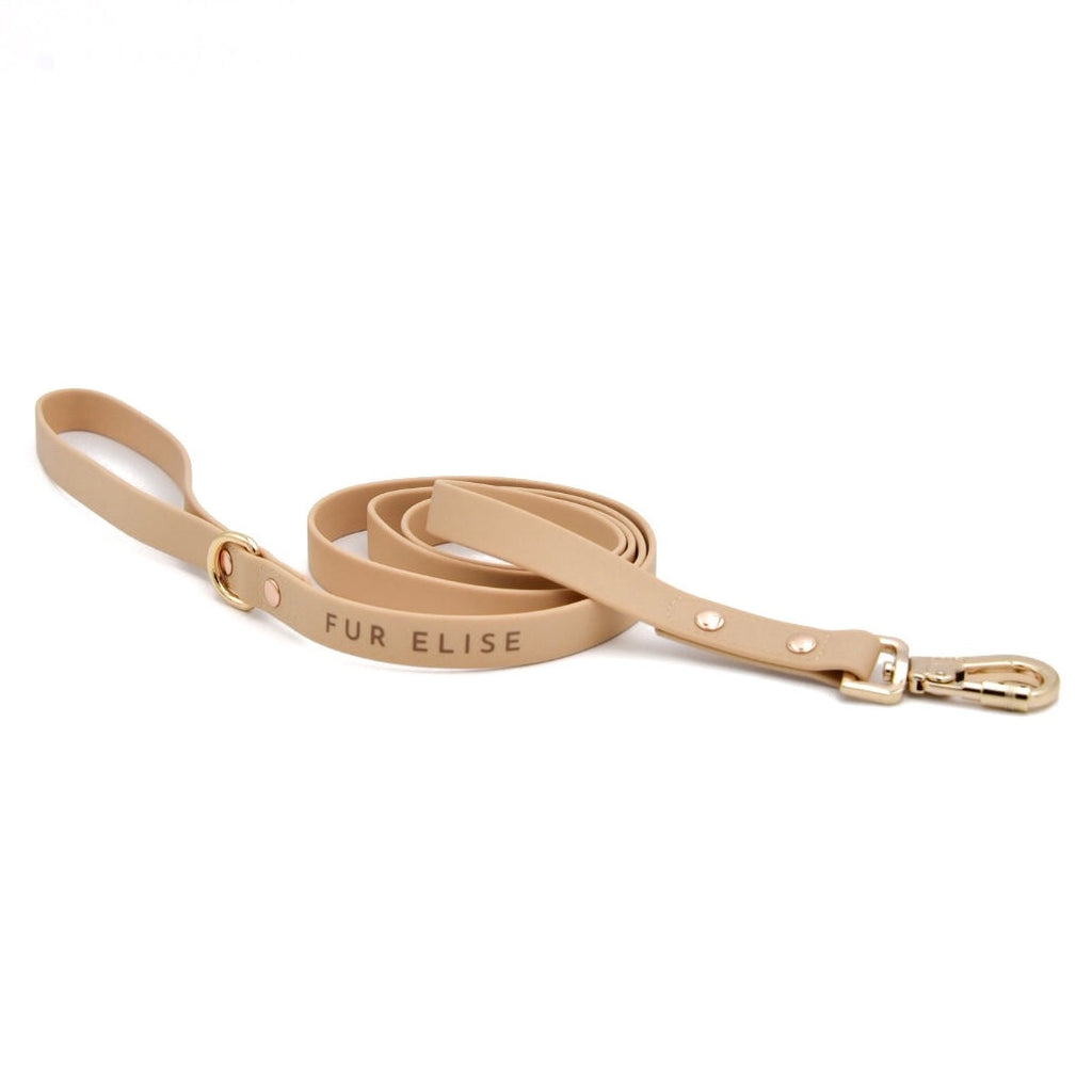 The Ultimate 3-pc Walk Set - (Sand or Beige) (XS-L) - Dog