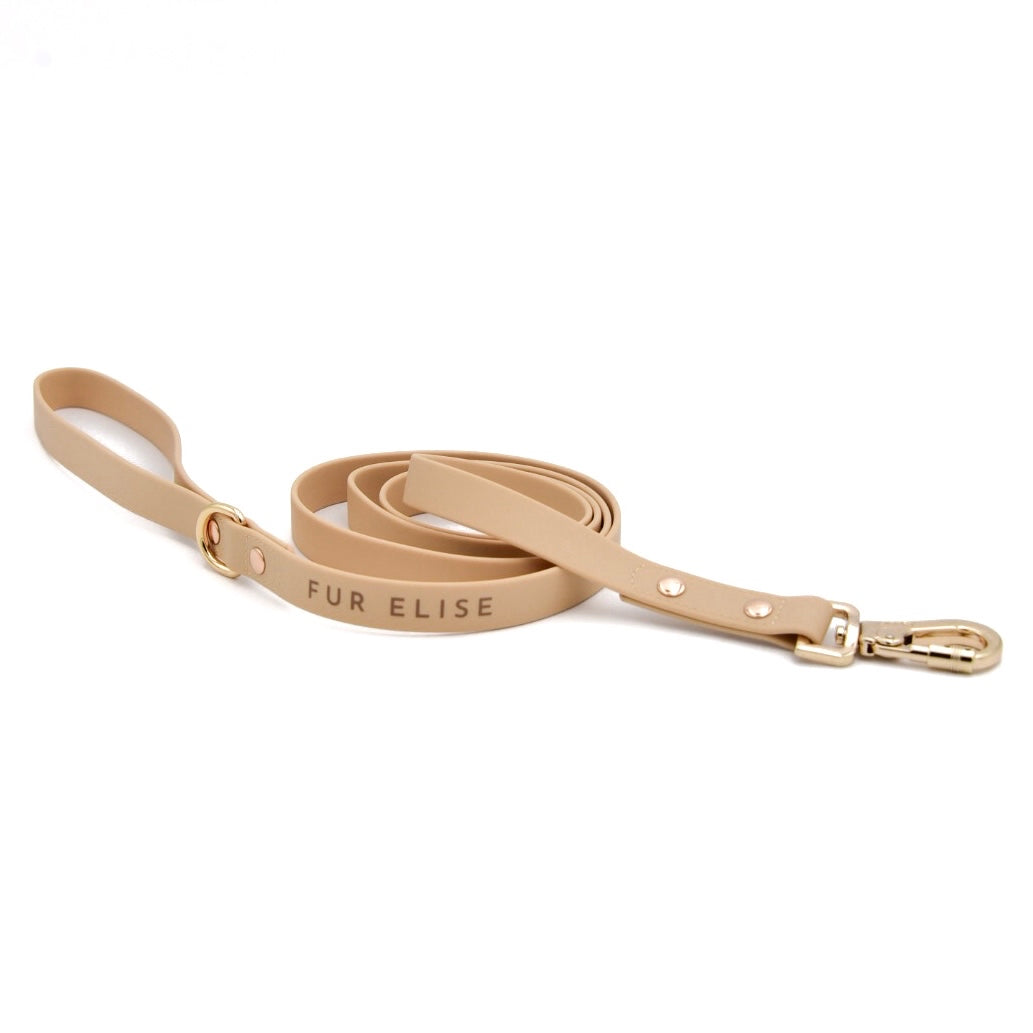 The Ultimate 3-pc Walk Set - (Sand or Beige) (XS-L) - Dog