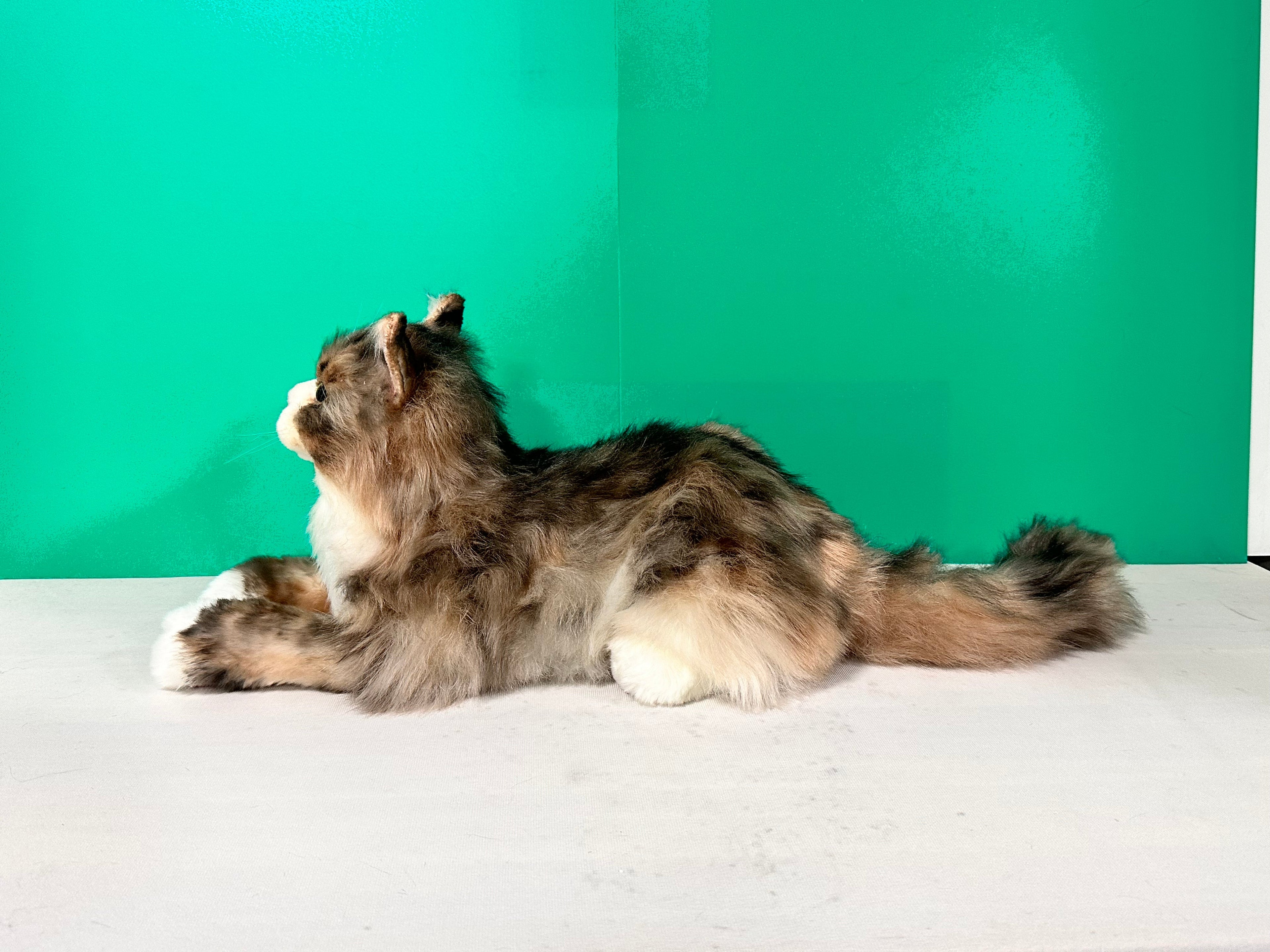 Realistic Plush Norwegian Forest Cat Companion - Child, Adult - (Weighted, Not Weighted)