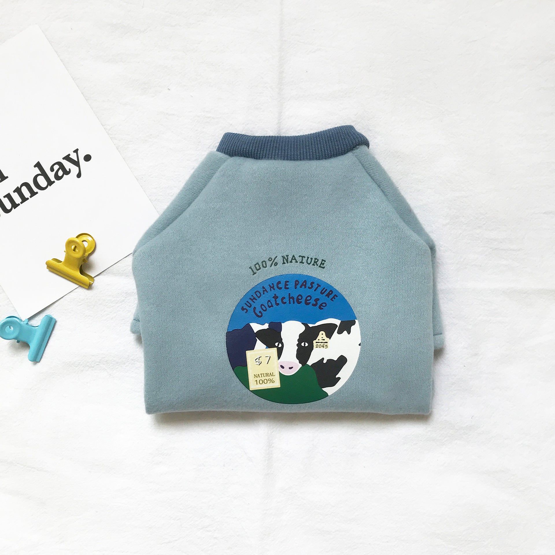 Cozy Casual Sweater - Dog Cat - (3 Color Options) - (XS-4XL)