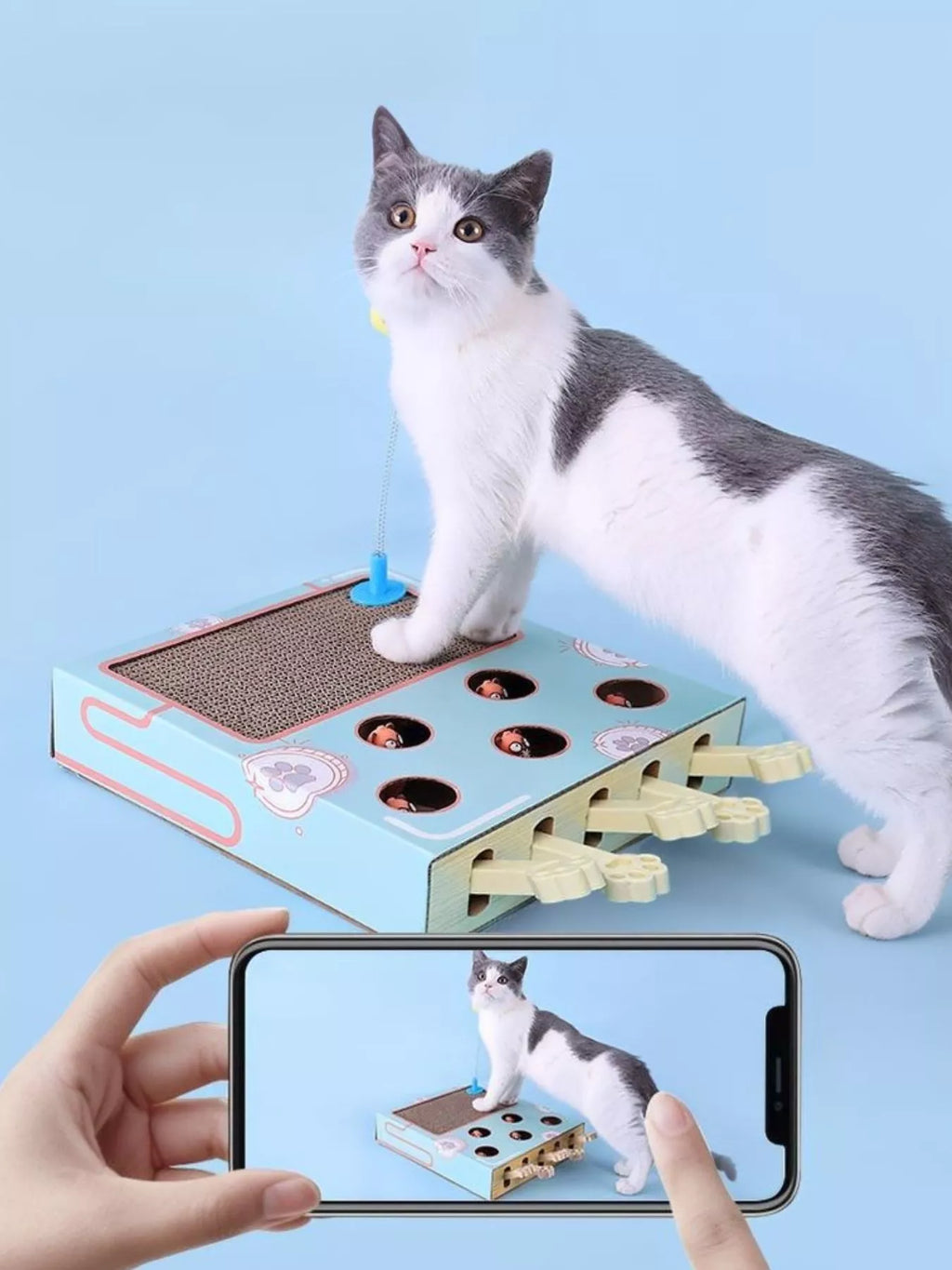 Interactive Whack-A-Mole Toy Box - Cat - (2 Options) - (One Size)