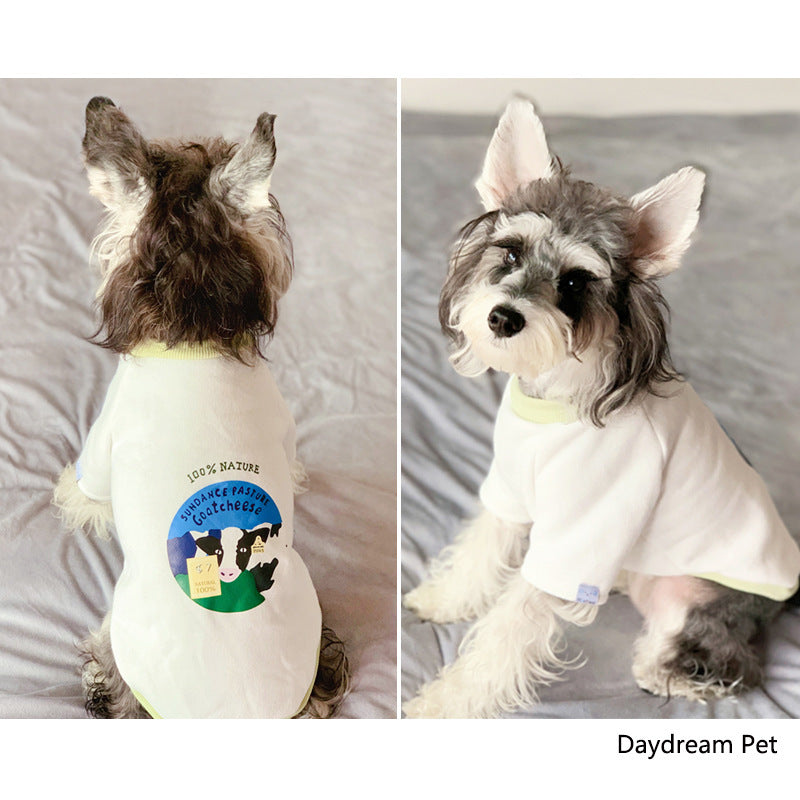 Cozy Casual Sweater - Dog Cat - (3 Color Options) - (XS-4XL)